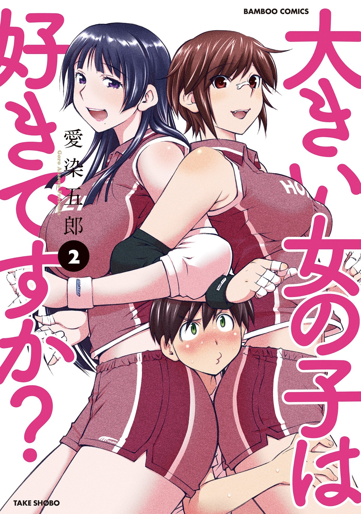 Do You Like Big Girls Volume 2